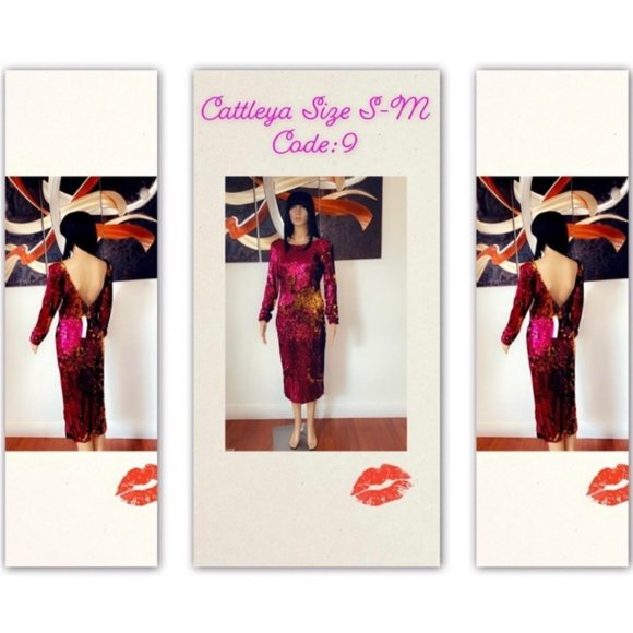 Cattleya - Picture 1 of 1